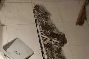山城卫生间漏水检测电话